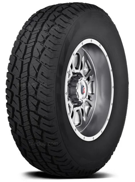 cauchos hilo 205/55-16